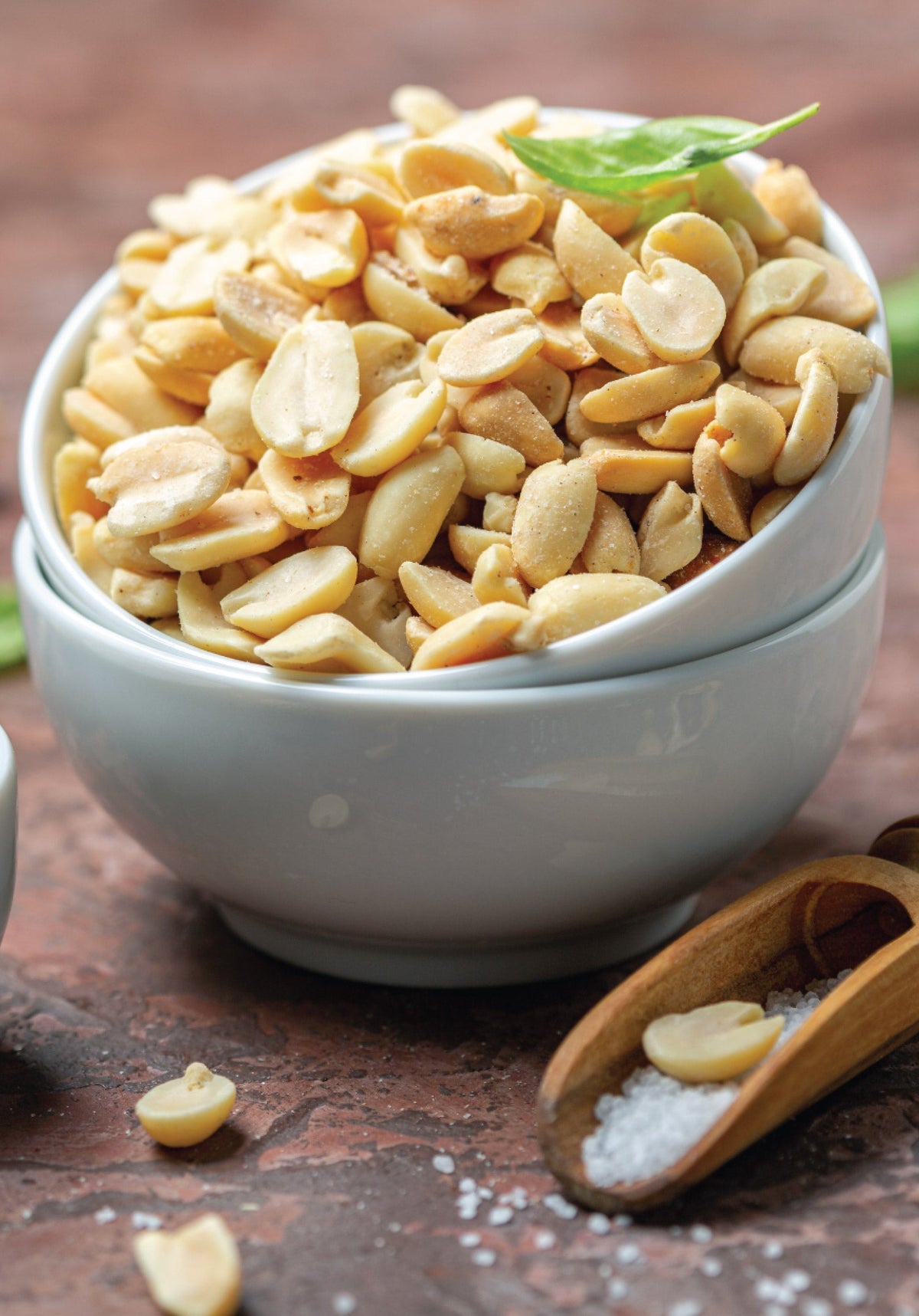 SALTED PEANUTS